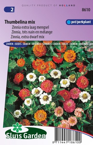 Zinnia Thumbelina Mix  ? Zinnia Elegans