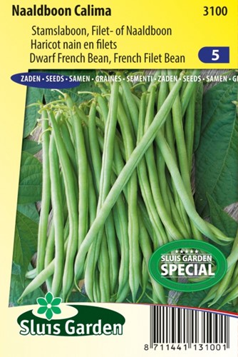 Dwarf French Bean, French Filet Bean Calima