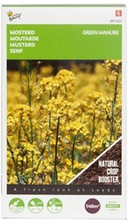 Green Manure Crop Mustard / 140gr - 140 m2