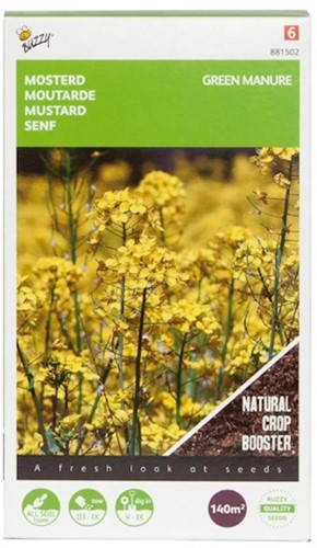 Green Manure Crop Mustard / 140gr - 140 m2