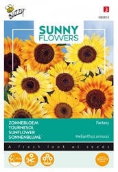 Dwarf Sunflower Fantasy - Sunny Flowers