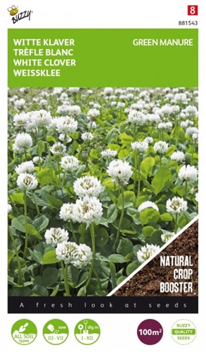 Green Manure Crop White Clover  / 100 gr - 100 m2