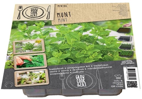 Propagator Mint