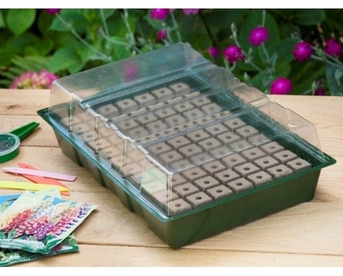 Greenhouse floral foam - Nature