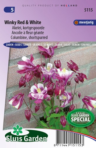 Columbine Winky Red & White (shortspurred) - Aquilegia