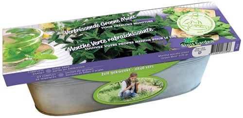 Kit Green Mint