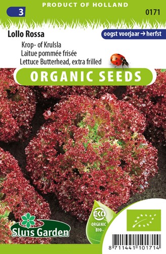 Lettuce Butterhead, extra frilled Lollo Rossa EKO