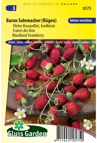 Strawberry woodland, Baron Solemacher (small fruited)