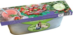 Kit Strawberry Temptation - Fragaria