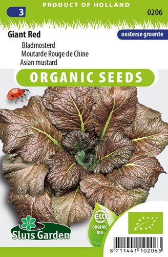 Asian mustard Red Giant EKO