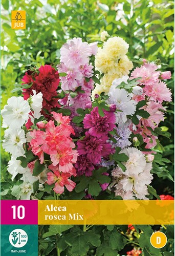 Alcea Rosea Mix - Hollyhock-2
