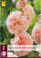 Alcea rosea Peaches 'n Dreams - Stokroos-2
