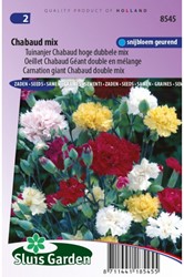 Carnation Chabaud Mix - Dianthus Chabaud