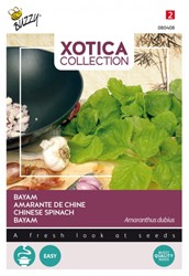 Chinese Spinach - Xotica Collection