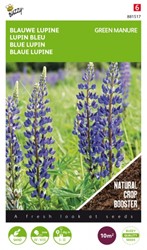 Green Manure Crop Blue Lupine / 100gr -10 m2