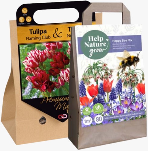 Flowerbulb Gifts Surprise pack 2