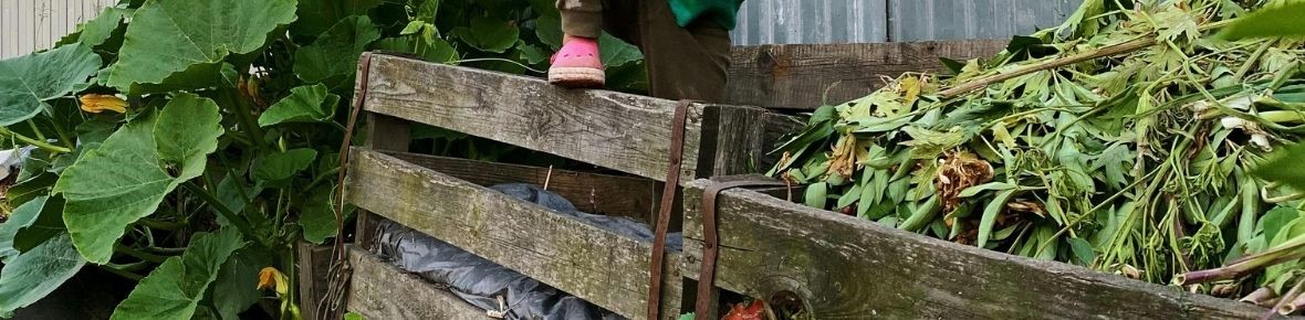 February garden tasks with Modeste Herwig – pruning, compost and early preparation
