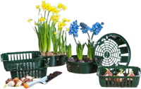 Planting bulbs basket 26 cm. - Nature-2