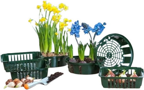 Planting bulbs basket 26 cm. - Nature-2