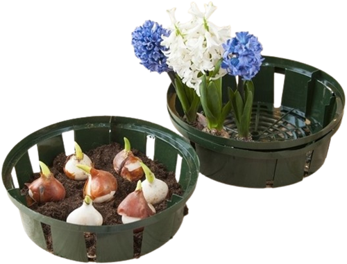 Planting bulbs basket 26 cm. - Nature