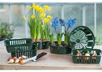 Bollenplantmand 250x210x75 mm. - Nature-2