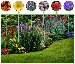 Long Flowering Border (9 plants 1,5m2)
