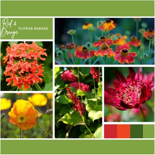 Ready-made Flower Border Red & Orange (9 plants:1,5m²)