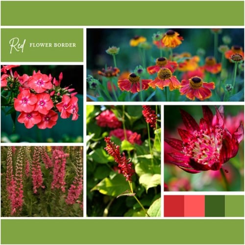Ready-made Flower Border Red (12 plants: 2m2)