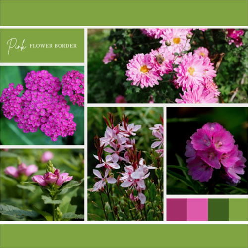 Ready-made Flower Border Pink (9 plants: 1,5m²)