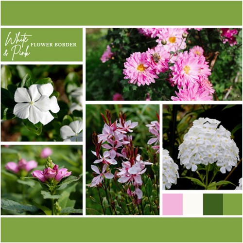 Ready-made Flower Border White & Pink (9 plants: 1,5m²)