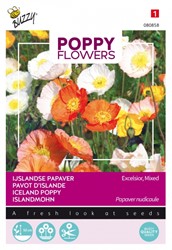 Iceland Poppy Excelsior - Poppy Flowers