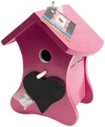 Buzzy Birds House chalk Pink Ral 4010 and the perch Ral 9016