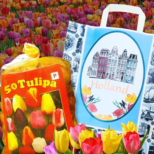 Delft Blue Giftbag with stunning mix of 50 Darwin tulips - available for immediate delivery!