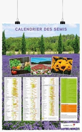 Seed Calendar Poster French
