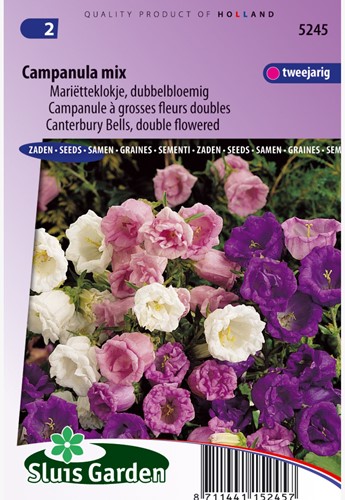 Cantebury Bells medium Double Mix - Campanula mix