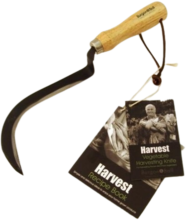 Carbon Steel Vegetable Harvesting Knife - Burgon and Ball