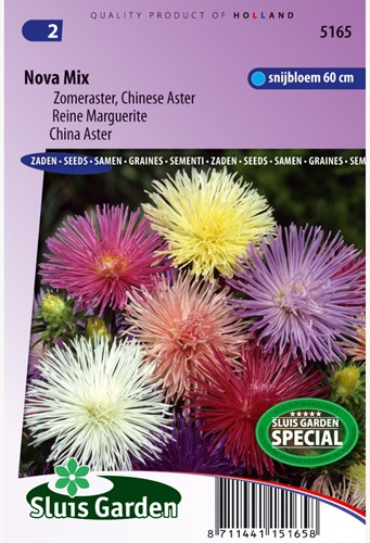 China aster Nova mix