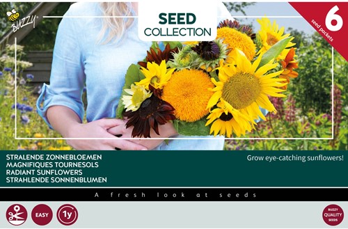 Collection 6 Radiant sunflowers – Buzzy Collection