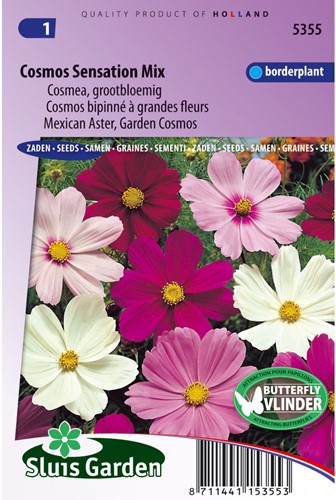Mexican Aster, Garden Cosmos Sensation Mix