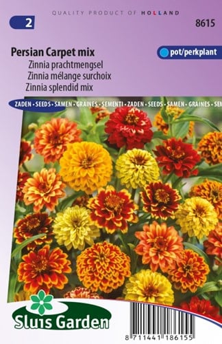 Zinnia Persian Carpet mix Zinnia Haageana