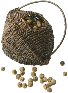 Walnut Basket