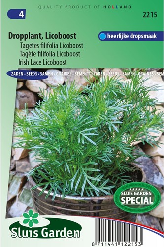 Tagetes filifolia Licoboost