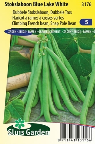 Climbing French Bean Blue Lake White