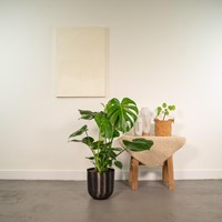 Pot Mayk Lead - Ø 22.5 cm-2