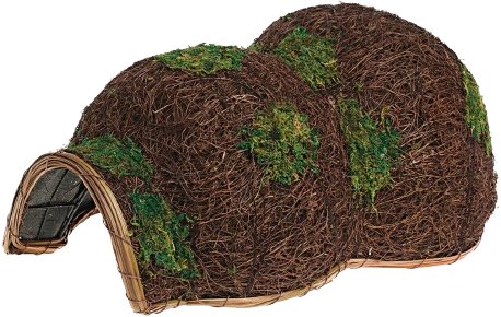 Hedgehog House - Bûten