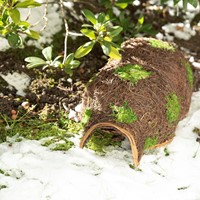 Hedgehog House - Bûten-2