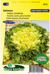 Andijvie Eminence - Cichorium endivia