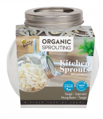 Organic Sprouting glass pot Mung Beans BIO - Buzzy