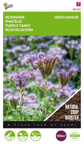 Green Manure Crop Phacelia  / 100gr - 100 m2
