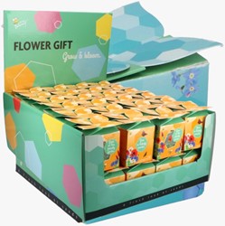 Buzzy flower gift (display 48x) Insect Flower mix
